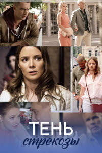 Тень стрекозы